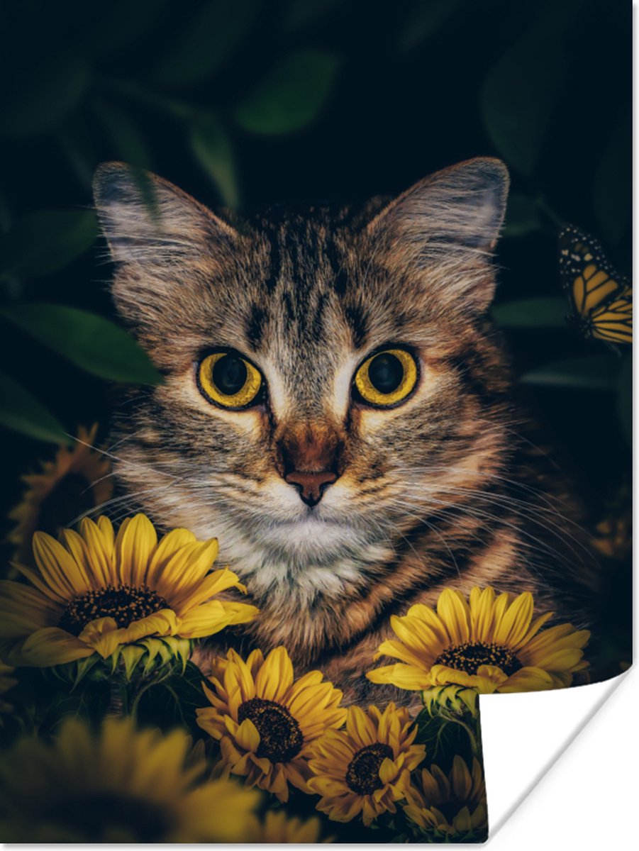 Poster Kat - Geel - Bloemen - Botanisch - 60x80 cm