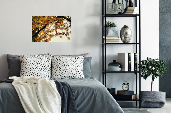 Affiche Arbres - Feuilles d'automne - Nature - 30x20 cm