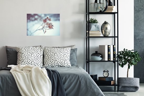 Poster Plantes - Hiver - Neige - Nature - 30x20 cm - Décorations de Noël - Décoration de Noël pour l'intérieur - Noël