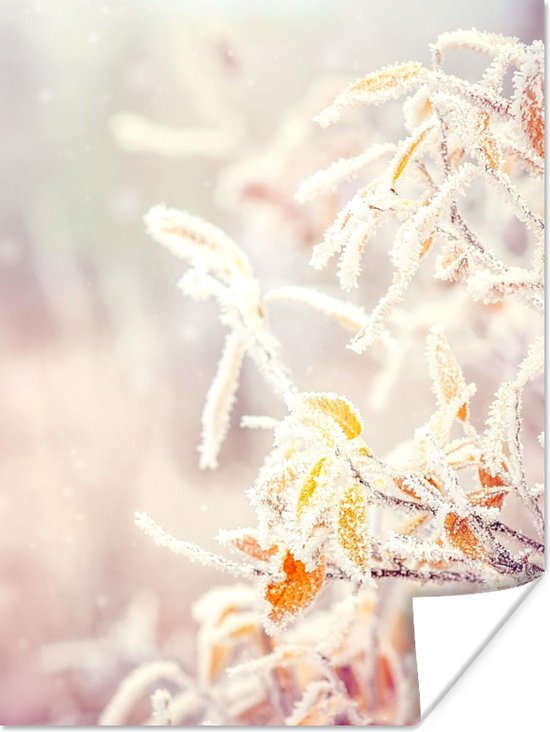 Poster Winter - Takken - Sneeuw - Natuur - 60x80 cm - Kerstmis Decoratie - Kerstversiering - Kerstdecoratie Woonkamer - Kerstversiering - Kerstdecoratie voor binnen - Kerstmis