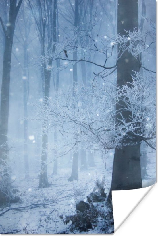 Affiche Forêt - Hiver - Neige - 20x30 cm