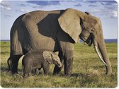 Muismat XXL - Bureau onderlegger - Bureau mat - Olifant - Dieren - Grasvlakte - Groen - Grijs - 80x60 cm - XXL muismat