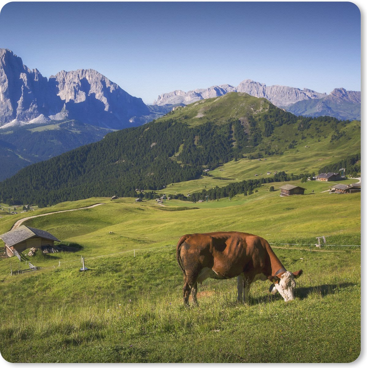 Muismat XXL 40x40 cm - Bureau onderlegger - Bureau mat Koe - Berg - Alpen - Bureaumat - Gaming mousepad xl - Bureaulegger groot - Computer deskmat