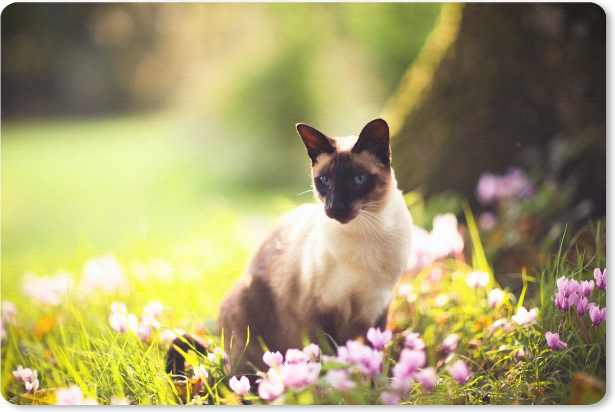 Muismat XXL - Bureau onderlegger - Bureau mat - Siamese kat tussen de roze bloemen - 90x60 cm - XXL muismat