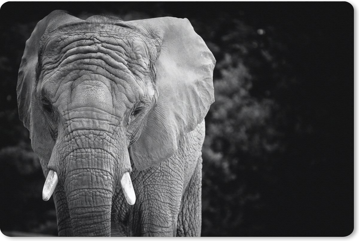 Muismat XXL 90x60 cm - Bureau onderlegger - Bureau mat Portret van een olifant in zwart-wit - Bureaumat - Gaming mousepad xl - Bureaulegger groot - Computer deskmat