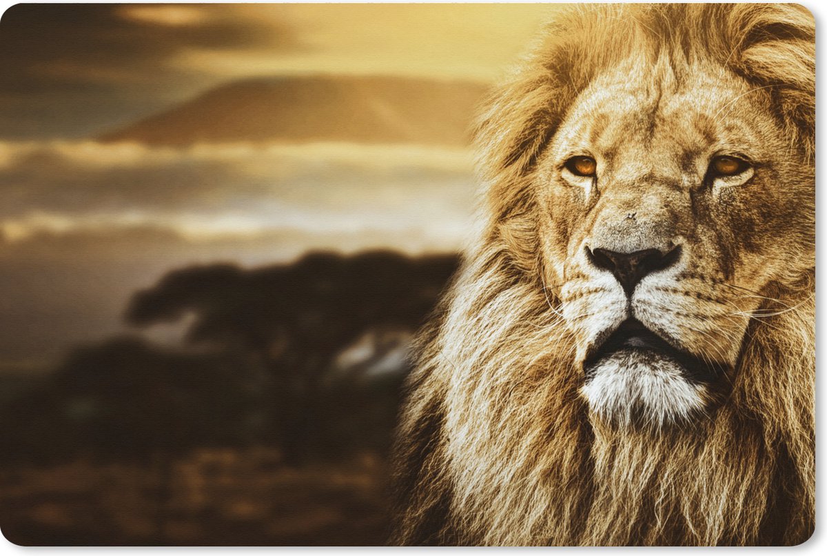 Muismat XXL 120x80 cm - Bureau onderlegger - Bureau mat Wild dier - Zonsondergang - Afrika - Bureaumat - Gaming mousepad xl - Bureaulegger groot - Computer deskmat