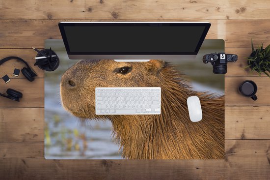 Bureauonderlegger, capibara, gaming muismatten, XXL, muismat