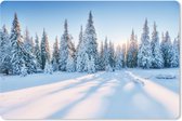 Muismat XXL 90x60 cm - Bureau onderlegger - Bureau mat Bos - Sneeuw - Winter - Bureaumat - Gaming mousepad xl - Bureaulegger groot - Computer deskmat