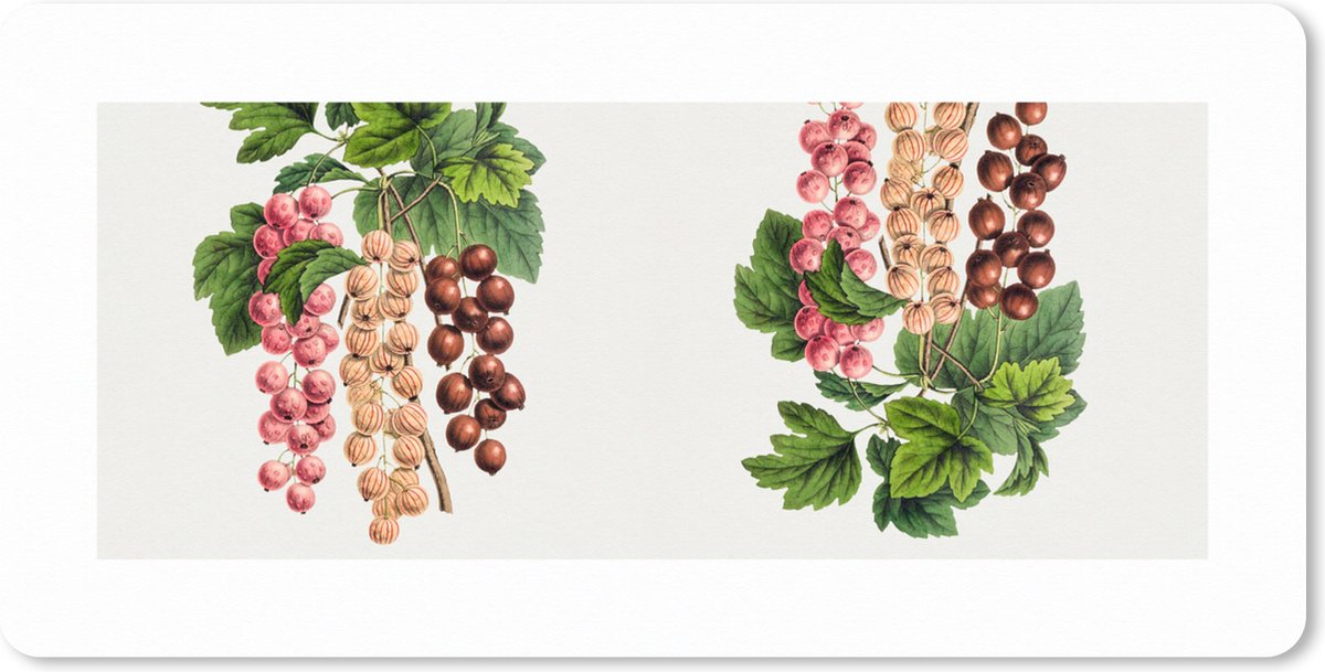 Muismat XXL 100x50 cm - Bureau onderlegger - Bureau mat Bessen - Eten - Fruit - Bureaumat - Gaming mousepad xl - Bureaulegger groot - Computer deskmat
