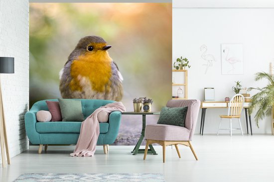 Papier Peint - Papier peint photo Vogels - Rouge-gorge - Arbre - Largeur 300 cm x Hauteur 300 cm