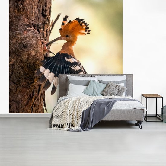 Papier Peint - Papier peint photo Vogel - Arbre - Forêt - Largeur 300 cm x Hauteur 300 cm