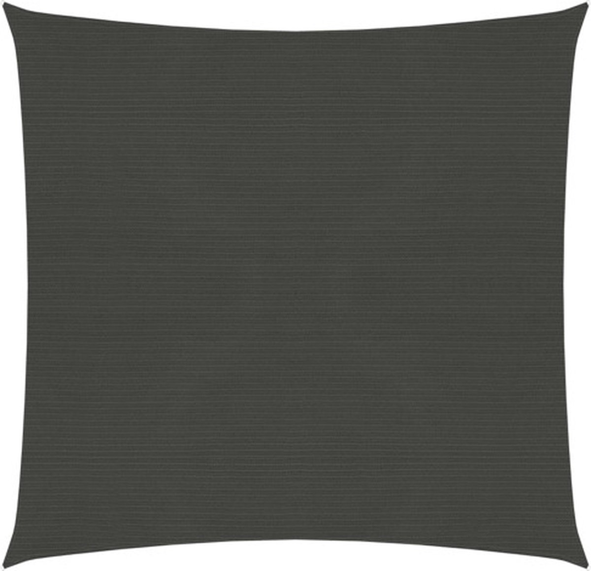 vidaXL Zonnezeil 160 g/m² 3x3 m HDPE antracietkleurig