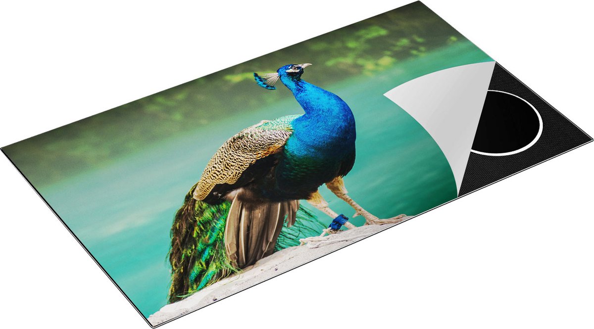 Chefcare Inductie Beschermer Kleurrijke Pauw bij het Water - 90x50 cm - Afdekplaat Inductie - Kookplaat Beschermer - Inductie Mat