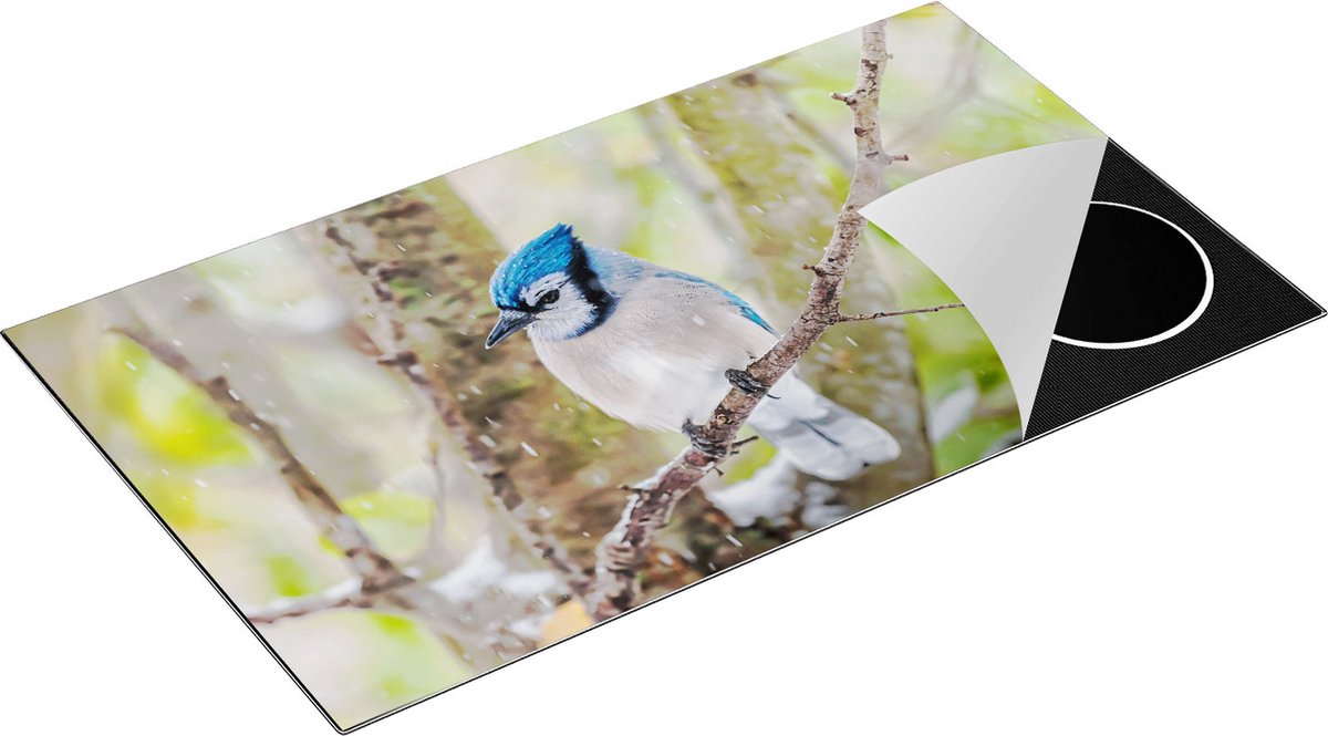 Chefcare Inductie Beschermer Blauwe Gaai Vogel in de Sneeuw - 90x50 cm - Afdekplaat Inductie - Kookplaat Beschermer - Inductie Mat