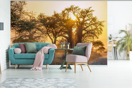 Baobab dans un paysage brumeux avec soleil levant 360x240 cm