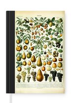Notitieboek - Schrijfboek - Adolphe Millot - Vintage - Fruit - Peer - Druiven - Notitieboekje klein - A5 formaat - Schrijfblok