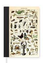 Notitieboek - Schrijfboek - Dieren - Adolphe Millot - Vintage - Insecten - Kunst - Notitieboekje klein - A5 formaat - Schrijfblok