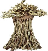 Superfish champignon bonsaï grand | Décoration aquarium en bois