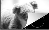 KitchenYeah® Inductie beschermer 81x52 cm - Koala - Close up - Dier - Kinderen - Jongens - Meiden - Kookplaataccessoires - Afdekplaat voor kookplaat - Inductiebeschermer - Inductiemat - Inductieplaat mat