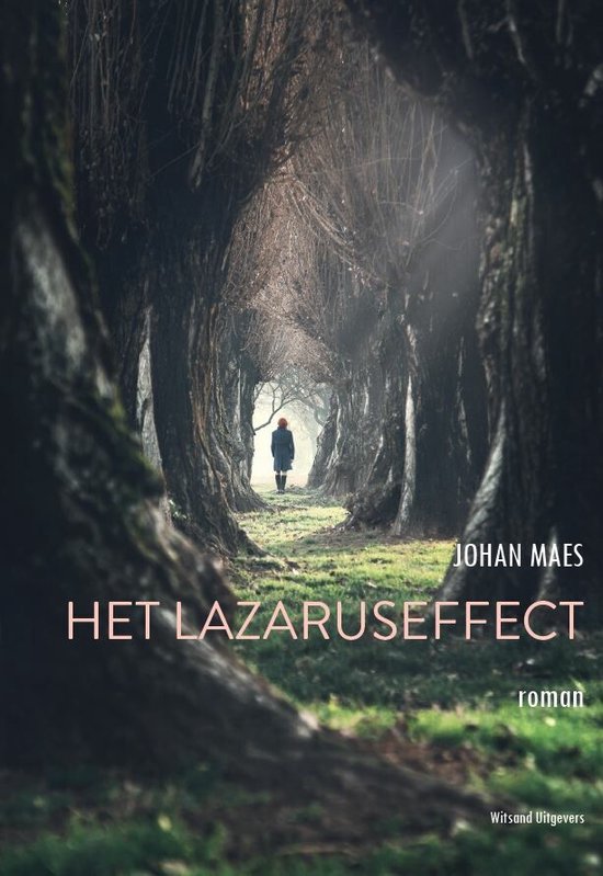 Het Lazaruseffect - cover