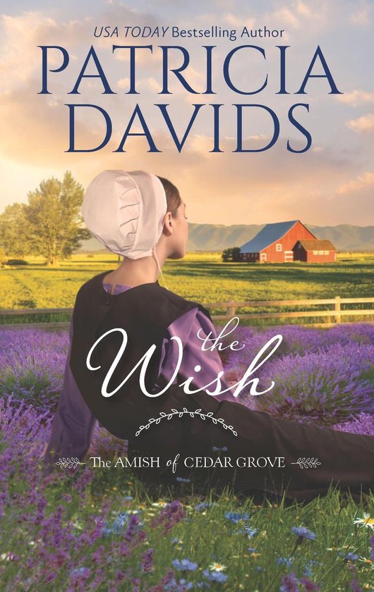 The Amish of Cedar Grove - The Wish - cover