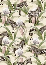 Cadeaupapier Jungle Zebra K601968- Breedte 50 cm - 100m lang