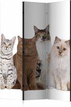 Vouwscherm - Lieve katten 135x172cm, gemonteerd geleverd, dubbelzijdig geprint (kamerscherm)