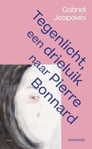 Omslag - Tegenlicht, een triptiek naar Pierre Bonnard