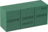 Oasis steekschuim 'Ideal' - 23 x 11 x 8 cm - set van 4 stuks