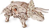 Eco-Wood-Art Triceratops - Houten Modelbouw