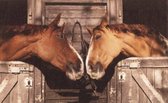 Ikado  Deurmat foto paarden  50 x 80 cm