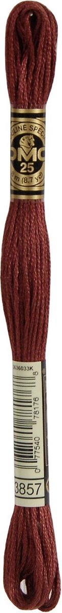DMC Borduurgaren-3857 Bruin