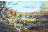 House of Puzzles Torbeck Counting Sheep