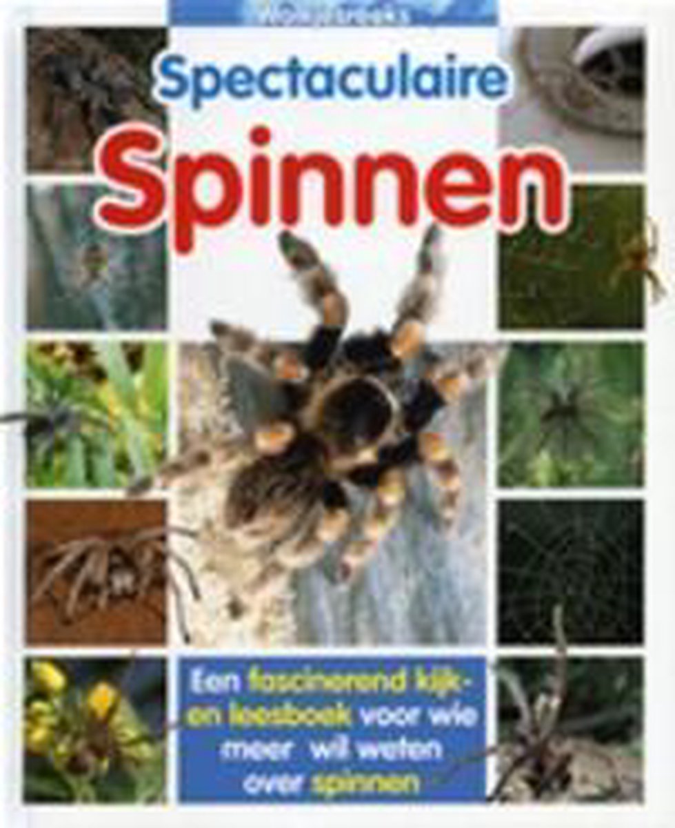 Wolkjesreeks Spectaculaire Spinnen