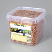 Colfis Gammarus 1,2 liter / 8 mm