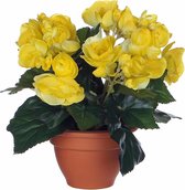 Kunstplant Begonia Geel - H 25cm - Terracotta sierpot - Mica Decorations