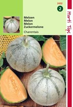 2 stuks Hortitops Meloenen Charentais