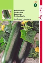 2 stuks Hortitops Komkommers Hoffmanns Giganta