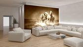 Horses  Photo Wallcovering