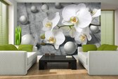 Modern Abstract Flowers Design Photo Wallcovering