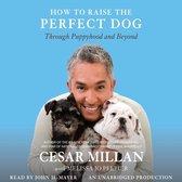 Cesar Millan met een zwarte puppy en een witte puppy op een helderblauwe achtergrond. Titel: HOW TO RAISE THE PERFECT DOG.