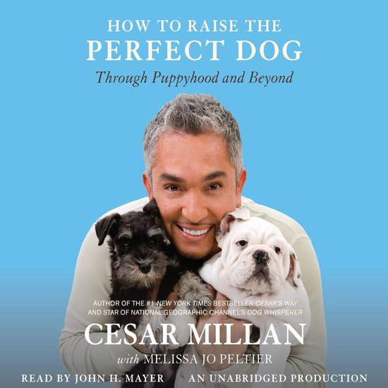 How to Raise the Perfect Dog - cover
