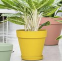 Okergele Elho bloempot met een grote groene plant, op een lichte achtergrond.