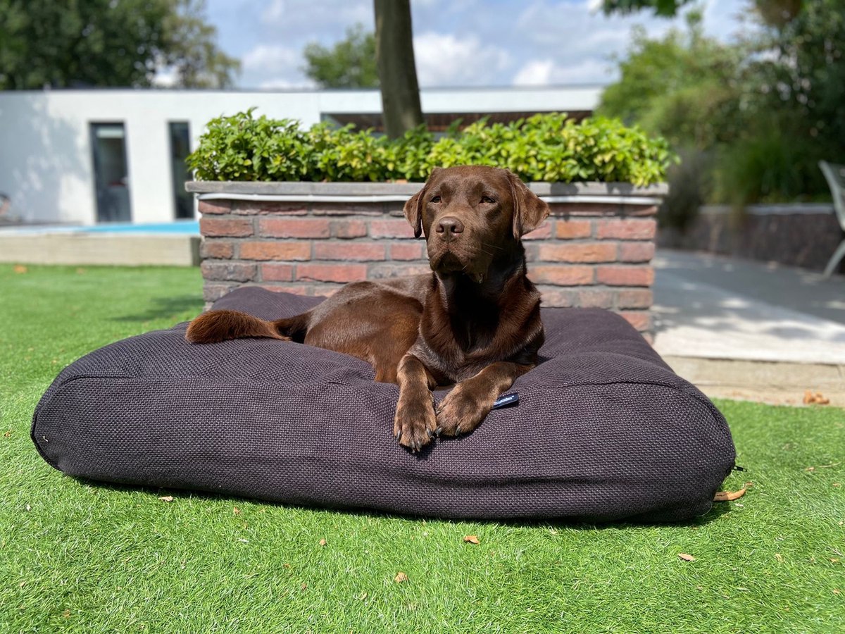Dog's Companion Hondenkussen / Hondenbed - S - 70 x 50 cm - Copenhagen Black