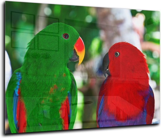Dosseret De Cuisine En Verre Trempé, Motif Colibri, Pour Derrière La Cuisinière