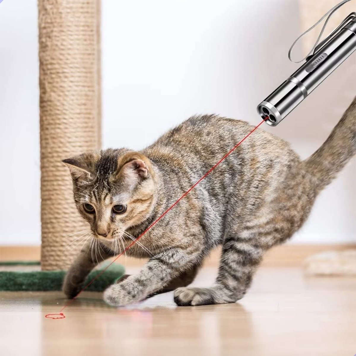 Laserpen Laserpen Oplaadbaar Rood Kattenspeeltje - afbeelding 5
