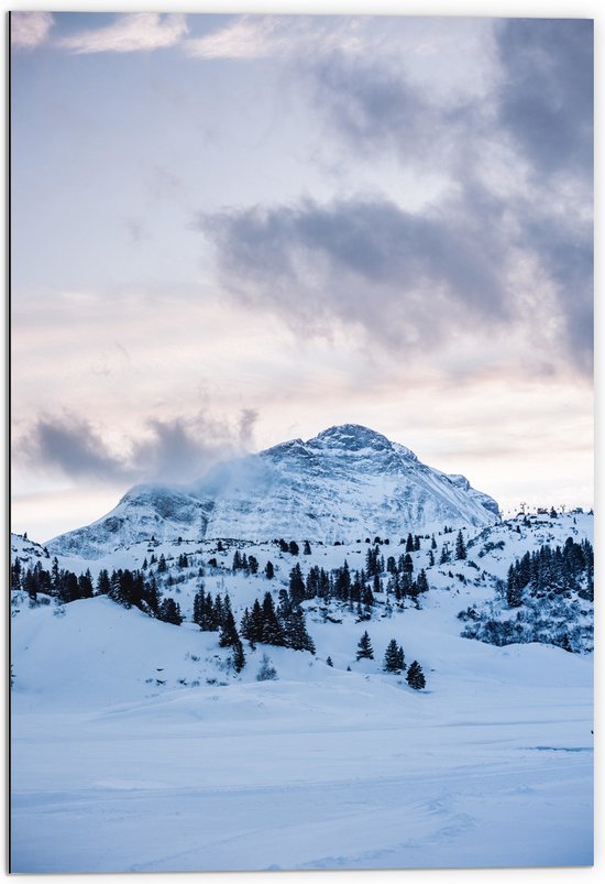 Dibond - Berg vol met Sneeuw - 70x105 cm Foto op Aluminium (Met Ophangsysteem)