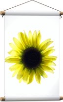 Textielposter - Biovenaanzicht van een Gele Zonnebloem met Witte Ondergrond - 40x60 cm Foto op Textiel