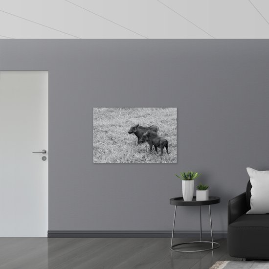 Acrylglas - Duo Zwijntjes in Graslandschap (Zwart- wit) - 105x70 cm Foto op Acrylglas (Wanddecoratie op Acrylaat)
