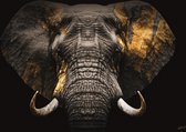 Glasschilderij 160x110cm Elephant